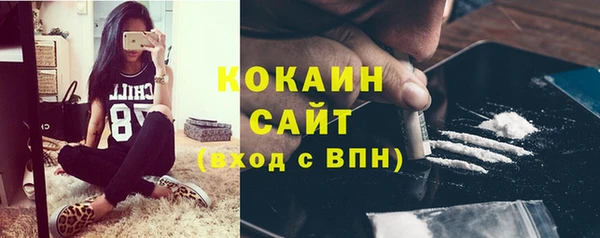 ГАЛЛЮЦИНОГЕННЫЕ ГРИБЫ Алзамай