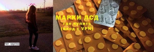 гидра Алексин