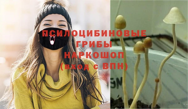ГАЛЛЮЦИНОГЕННЫЕ ГРИБЫ Алзамай
