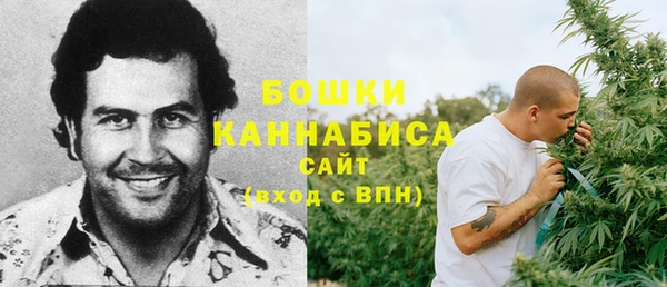 гидра Алексин