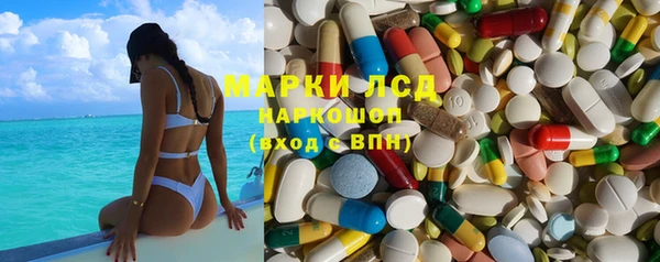 ГАЛЛЮЦИНОГЕННЫЕ ГРИБЫ Алзамай