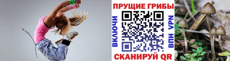 МЕГА ТОР Краснообск Псилоцибиновые грибы ЛСД